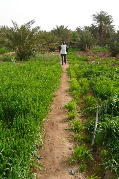 Marokko2008_0439_S_P1020129.JPG