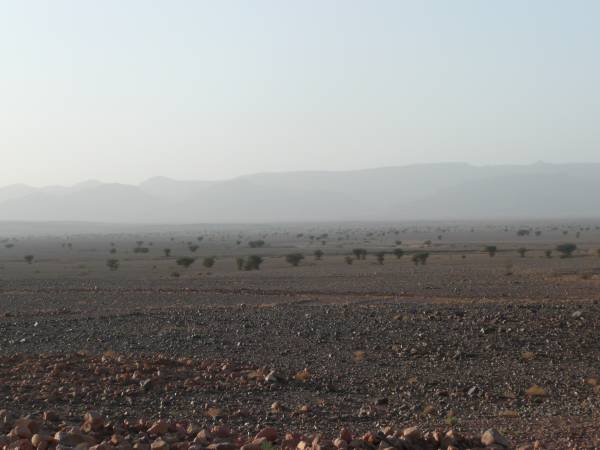 Marokko2008_1061_S_P1020309.JPG