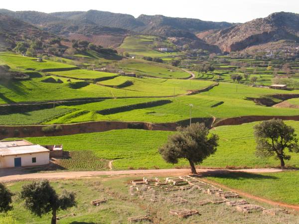 Marokko2008_2177_E_IMG_6566.JPG